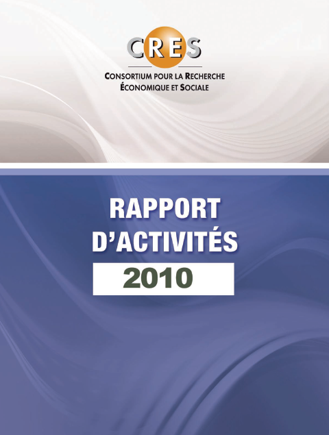 Rapport d'activités 2010