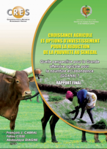 Croissance agricole, option d’investissement et réduction de pauvreté
