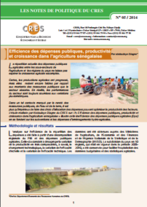 Efficience des dépenses publiques, productivité et croissance dans l’agriculture sénégalaise