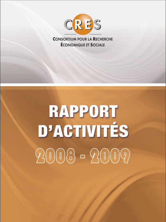Rapport d'activités 2008-2009