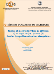 Analyse et mesure du rythme de diffusion et du degré d'utilisation des TIC chez les très petites entreprises au Sénégal