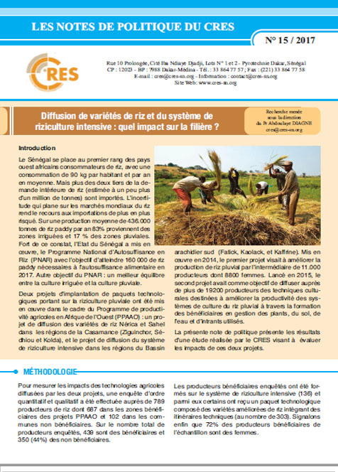 Diffusion de variétés de riz et du système de riziculture intensive : quel impact sur la filière ?